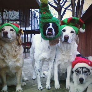 Meet your Posher, Christine